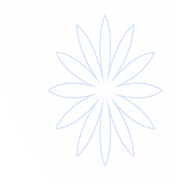 宝马会(中国)官方网站